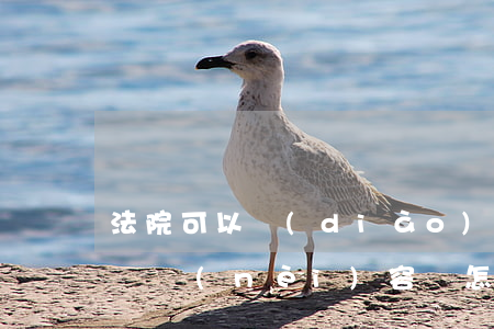 法院可以調(diào)查個(gè)人通話內(nèi)容嗎(怎么調(diào)查一個(gè)人的通話記錄)