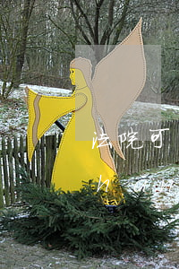 法院可以調(diào)查對方的財產(chǎn)嗎(法院可以調(diào)查個人的財產(chǎn)信息嗎)