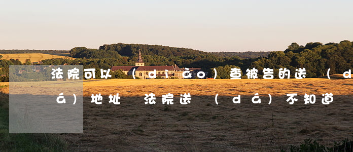 法院可以調(diào)查被告的送達(dá)地址嗎(法院送達(dá)不知道準(zhǔn)確的地址,會(huì)怎么樣)