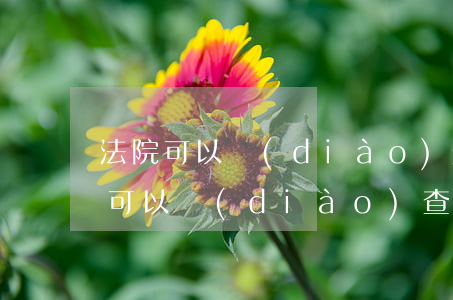法院可以調(diào)查銀行流水嗎(法院可以調(diào)查銀行流水嗎)