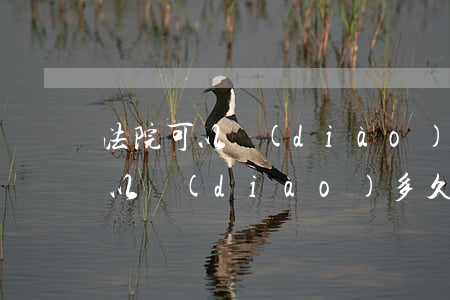 法院可以調(diào)短信記錄嗎(司法可以調(diào)多久的通話記錄)