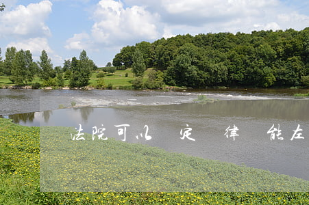 法院可以論定嗎(律師能左右判決嗎)