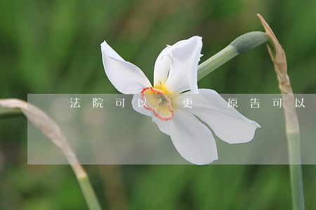 法院可以變更嗎(原告可以變更嗎)