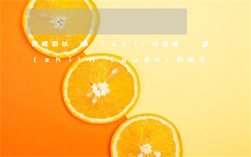 法院可以變通執(zhí)行法律嗎(變通執(zhí)行權(quán)的例子)