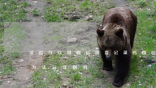法院可以调微信语音记录吗(微信语音可以作为法庭证据吗)