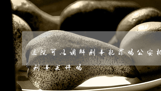 法院可以调解刑事犯罪吗(公安机关可以调解刑事案件吗)