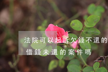 法院可以起訴欠錢不還的條件（法院可以審理借錢未還的案件嗎）