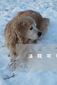 法院可以超標(biāo)的查封嗎