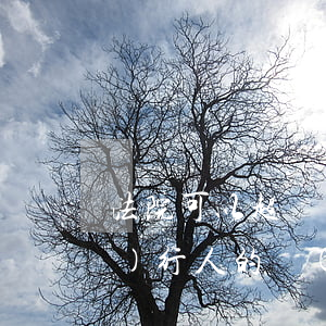 法院可以超額凍結(jié)被執(zhí)行人的財(cái)產(chǎn)嗎(被法院執(zhí)行后為什么沒(méi)有凍結(jié)全部財(cái)產(chǎn))