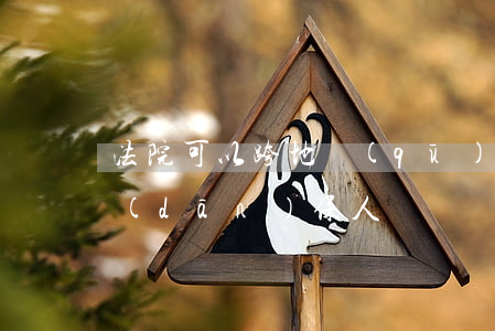 法院可以跨地區(qū)執(zhí)行擔(dān)保人嗎