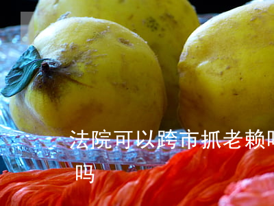 法院可以跨市抓老赖吗(法院可以跨市抓老赖吗)