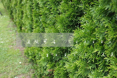 法院可以轉(zhuǎn)政府機(jī)關(guān)嗎(人民法院歸政府管嗎)