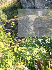 法院可以辦理保外就醫(yī)嗎(什么情況下法院可以直接保外就醫(yī))