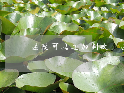 法院可以追加判文嗎(法院可以追加原告嗎)