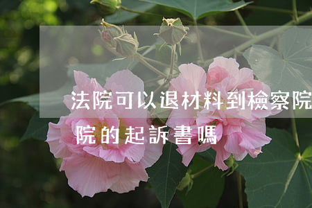法院可以退材料到檢察院嗎(法院能退回檢察院的起訴書嗎)