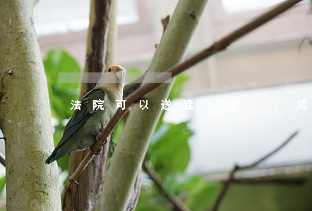 法院可以送達(dá)成年子女嗎
