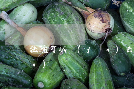 法院可以進(jìn)去嗎(法院難進(jìn)嗎)
