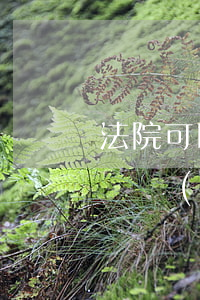 法院可以進(jìn)室內(nèi)搜去證據(jù)嗎