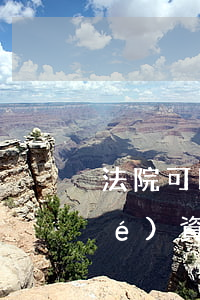 法院可以遠(yuǎn)程保全凍結(jié)資產(chǎn)嗎(法院沒有立案可以保全財(cái)產(chǎn)嗎)