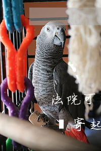 法院可以郵寄起訴書(shū)嗎(法院可以郵寄起訴書(shū)嗎)