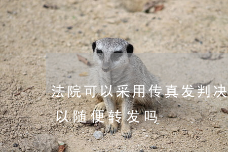 法院可以采用传真发判决书吗(法院判决书可以随便转发吗)