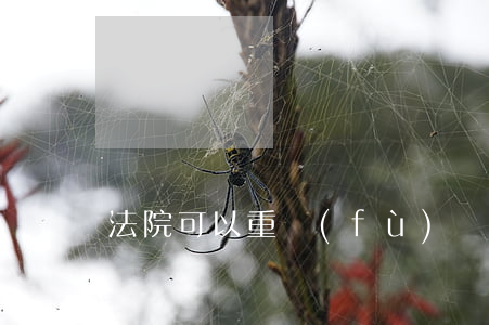 法院可以重復(fù)凍結(jié)房子嗎