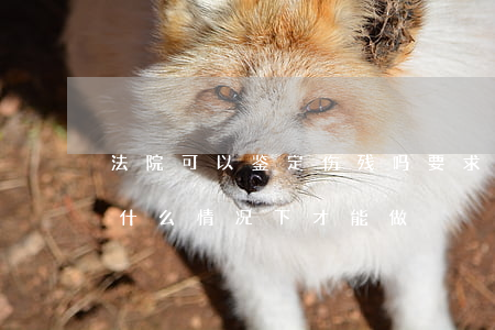 法院可以鉴定伤残吗(要求法院做伤残鉴定是什么情况下才能做)