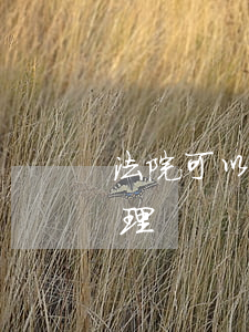 法院可以鎖定汽車嗎(汽車被法院鎖車如何處理)