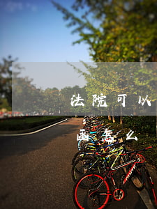 法院可以開具查詢函嗎(法院協(xié)查函怎么開具)