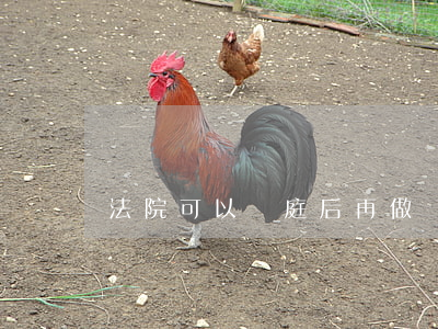 法院可以開庭后再做傷殘鑒定晚嗎
