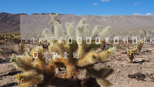 法院可以開訴訟結案證明嗎(法院結案證明怎樣才能查到)
