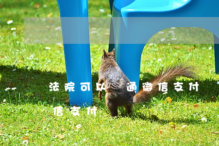 法院可以開通微信支付寶嗎(法院可以開通微信支付寶嗎)