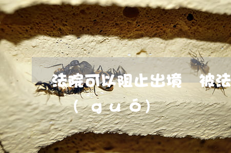 法院可以阻止出境嗎(被法院起訴了能不能出國(guó))