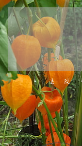 法院可以降噪录音吗(给录音降噪)