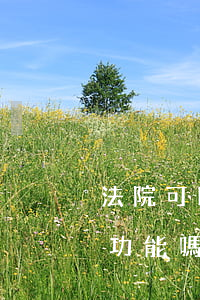 法院可以限制微信嗎(法院可以限制微信支付功能嗎)