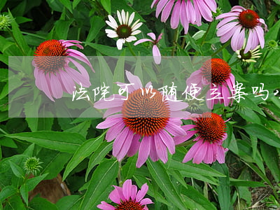 法院可以随便立案吗(公诉案件法院必须立案)