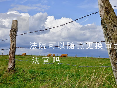法院可以随意更换审判员吗(被告可以要求换法官吗)