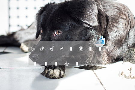 法院可以隨便凍結(jié)企業(yè)賬戶嗎(企業(yè)可以凍結(jié)自己的賬戶嗎)