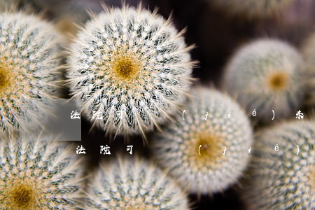 法院可凍結(jié)未逾期的信用卡嗎-法院可凍結(jié)未逾期的信用卡嗎