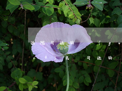 法院司法拍賣過(guò)程中可以結(jié)束嗎(司法拍賣中止后會(huì)繼續(xù)拍賣嗎)