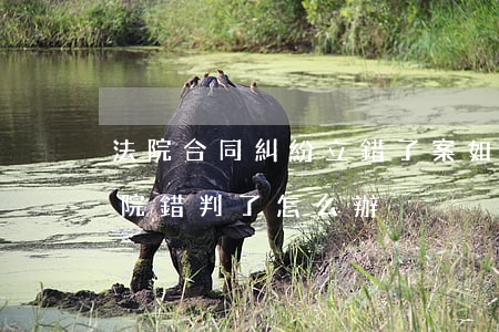 法院合同糾紛立錯了案如何處理(民事案件法院錯判了怎么辦)