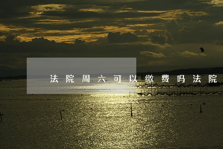 法院周六可以缴费吗(法院周六日会执行吗)