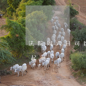 法院周六日可以提交訴訟狀嗎(法院周五可以起訴嗎)