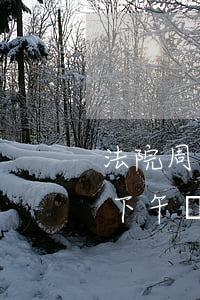 法院周六日可以開(kāi)庭嗎(法院周五下午開(kāi)庭嗎)