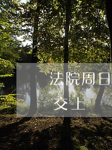 法院周日可以遞交訴狀嗎(法院周六日可以提交上訴嗎)