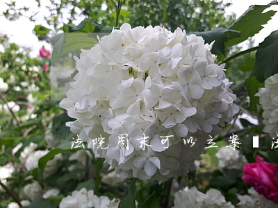 法院周末可以立案嗎(法院周末受理案件嗎)