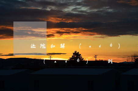 法院和解協(xié)議逾期(法院達成和解協(xié)議到時間不能還款怎么處理)