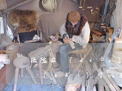 法院在調(diào)解房產(chǎn)時(shí)可以委托嗎