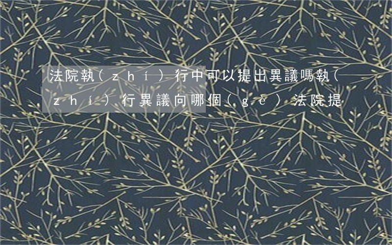 法院執(zhí)行中可以提出異議嗎(執(zhí)行異議向哪個(gè)法院提)