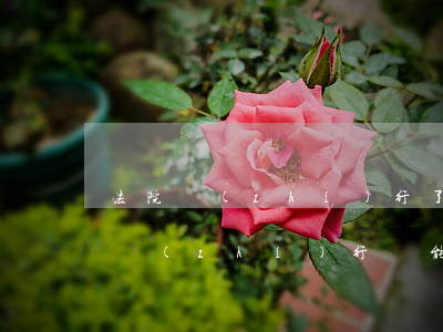 法院執(zhí)行了可以坐高鐵嗎(被強制執(zhí)行還能坐高鐵嗎)